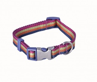 AC Multicolor Stripe Dog Collar
