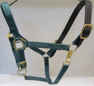 HH Green Breakaway Horse Halter Polypropylene