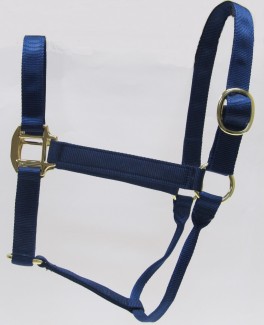HH Navy Nylon Halter with Shiny Brass Plated Hardware