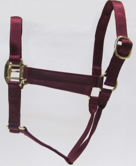 HH Burgundy Nylon Halter with Shiny Brass Plated Hardware