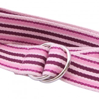 LR Pink Striped Webbing D Ring Belt with Metallic Detail