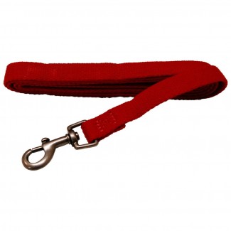 AL Saffron Dog Leash, 3/4-Inch by 5-Feet Organic Cotton Leash