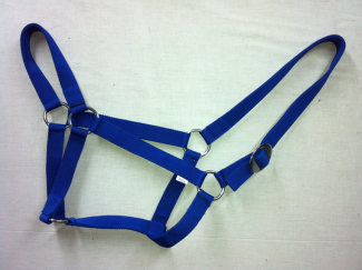 Economy Halter B