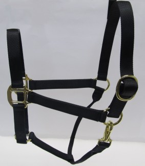 Black Nylon Halter with Shiny Brass Plated Hardware