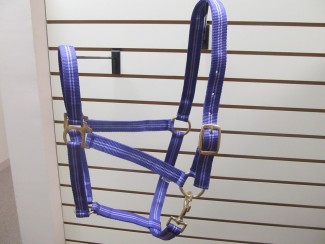 Horse Halter Poly Pro Purple Stripe