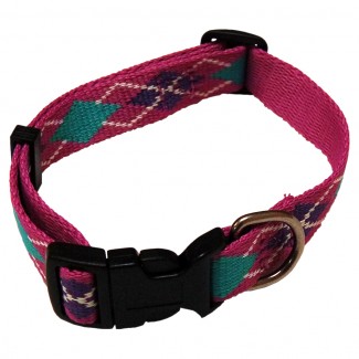 AC Medium 3/4 -Inch Pink Argyle Recycled Poly Collar, 10-Inch to 16-Inch