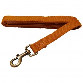 AL Sungold Dog Leash, 3/4-Inch by 5-Feet Organic Cotton Leash