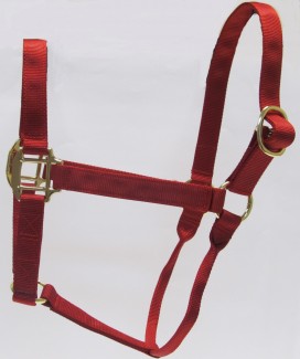 HH Red Nylon Halter with Shiny Brass Plated Hardware