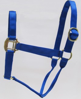 HH Royal Nylon Halter with Shiny Brass Plated Hardware