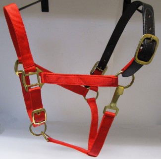 HH Red Breakaway Horse Halter Polypropylene