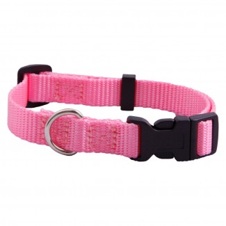 AC Nylon Adjustable Hot Pink Dog Collar