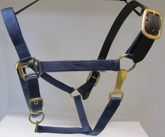 HH Navy Horse Breakway Halter Polypropylene