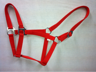 Economy Halter A