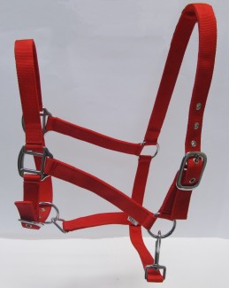 PP economy halter w adjust chin