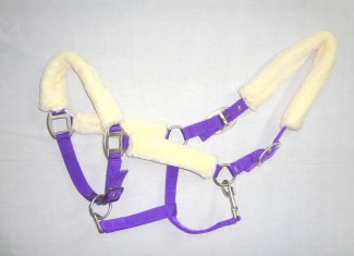 Halter with fleece padding purple