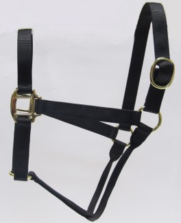 HH Black Nylon Halter with Shiny Brass Plated Hardware